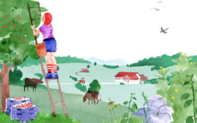 Proteggere il paesaggio, preservare il nostro suolo