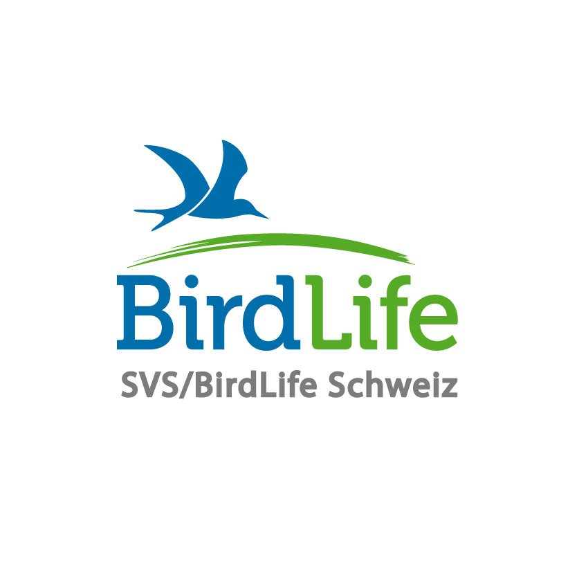 04_logo_i_Birdlife Logo BirdLife