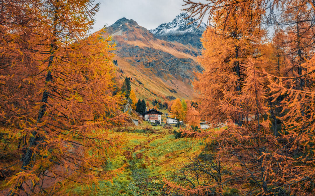 Concorso fotografico