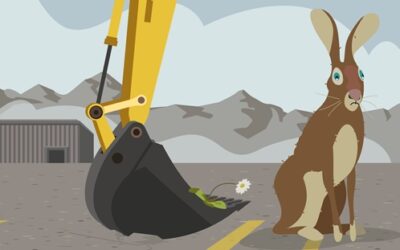 Conferenza stampa dal 26 marzo