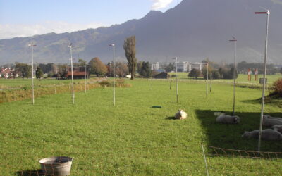 Tutelare il paesaggio e il suolo: mantenete la vostra parola!