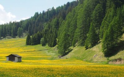 Tocca ora al Parlamento proporre un controprogetto efficace