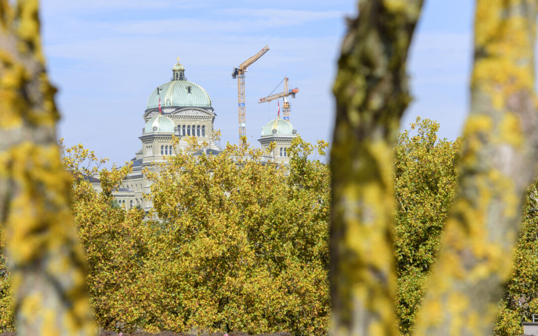 Miglioramenti decisivi a favore della tutela del paesaggio