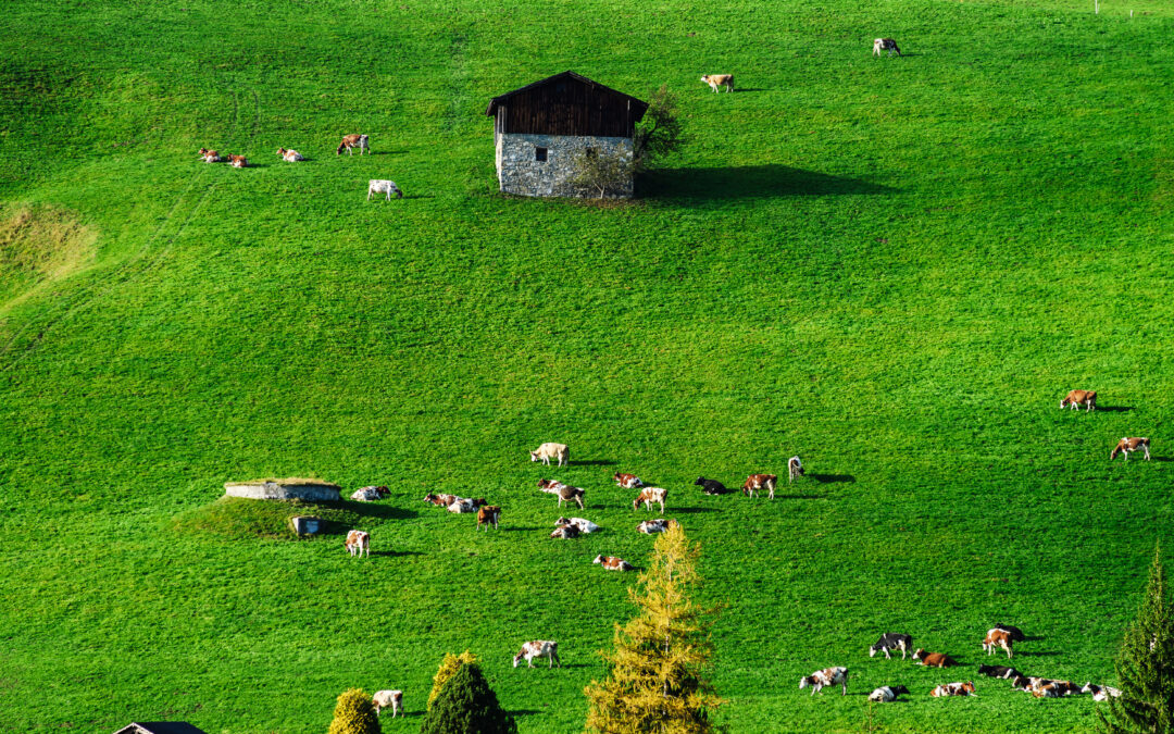 Patrimonio architettonico