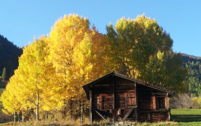 Ancora qualche miglioramento legale per la tutela del paesaggio?