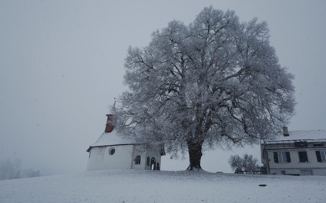 L’Iniziativa paesaggio è stata ufficialmente respinta dal Consiglio nazionale