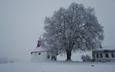 L’Iniziativa paesaggio è stata ufficialmente respinta dal Consiglio nazionale