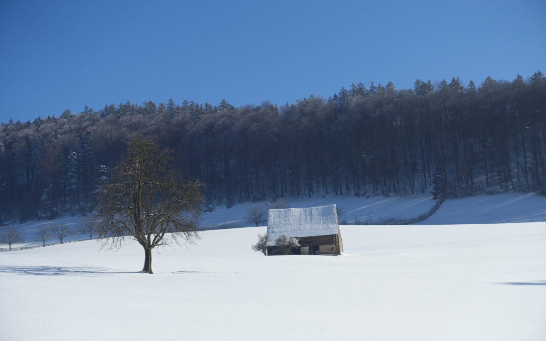 Ritiro formale e proseguimento energico delle attività