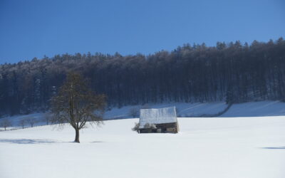 Ritiro formale e proseguimento energico delle attività