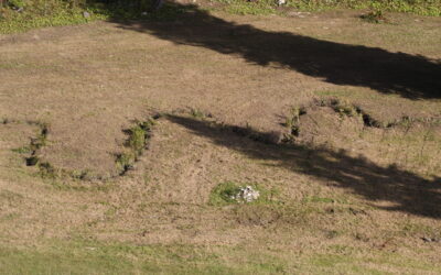 La tutela del paesaggio nell’ordinanza sulla pianificazione del territorio